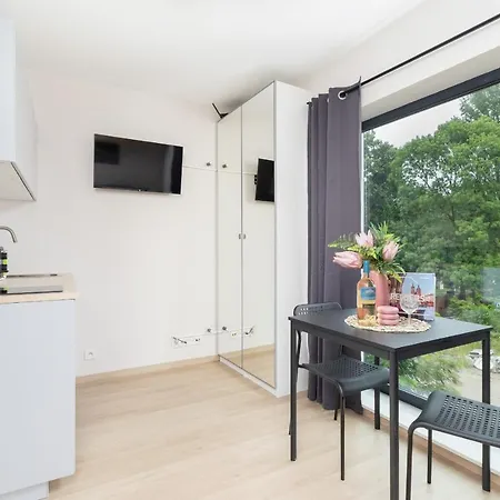 Apartment Cozy Sauna & Ac By Renters