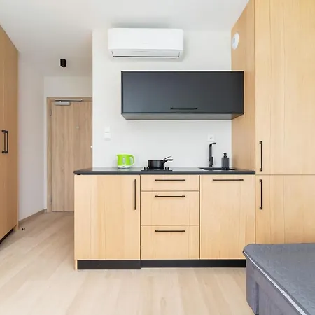 Cozy Sauna & Ac By Renters Apartment