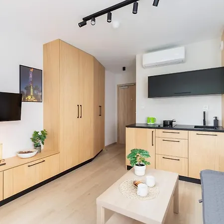 Cozy Sauna & Ac By Renters Krakow