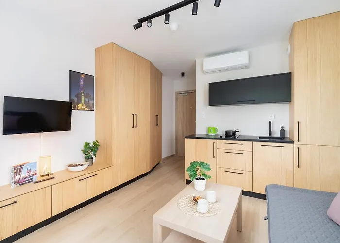 Cozy Sauna & Ac By Renters كراكوفيا